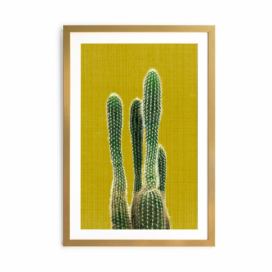 Obraz Surdic Mustard Background Cactus, 40 × 60 cm