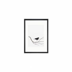 Obraz Tablo Center Birdy, 24 × 29 cm