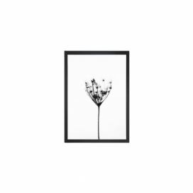Obraz Tablo Center Misty Splender, 24 × 29 cm Bonami.sk