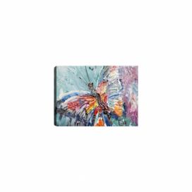 Obraz Tablo Center One Butterfly, 70 × 50 cm Bonami.sk