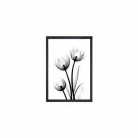Obraz Tablo Center Scented Flowery, 24 × 29 cm