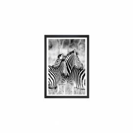 Obraz Tablo Center Zebras, 24 × 29 cm Bonami.sk