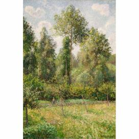 Reprodukcia obrazu Camille Pissarro - Poplars Éragny, 60 × 80 cm Bonami.sk