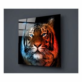 Sklenený obraz Insigne Lion Colorful, 40 × 40 cm