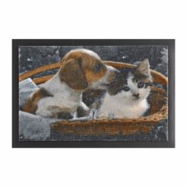 Rohožka Hanse Home Animals Dog and Cat, 40 × 60 cm