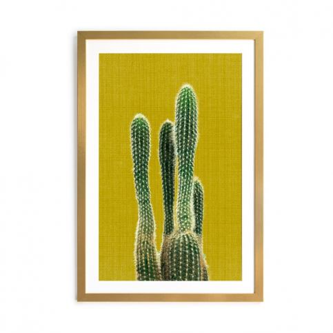 Obraz Surdic Mustard Background Cactus, 40 × 60 cm Bonami.sk