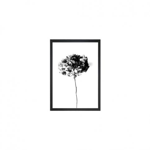 Obraz Tablo Center Velvet Flower, 24 × 29 cm Bonami.sk