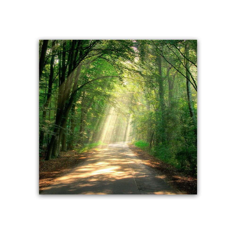 Obraz Styler Glas Nature Road, 30 × 30 cm - Bonami.sk