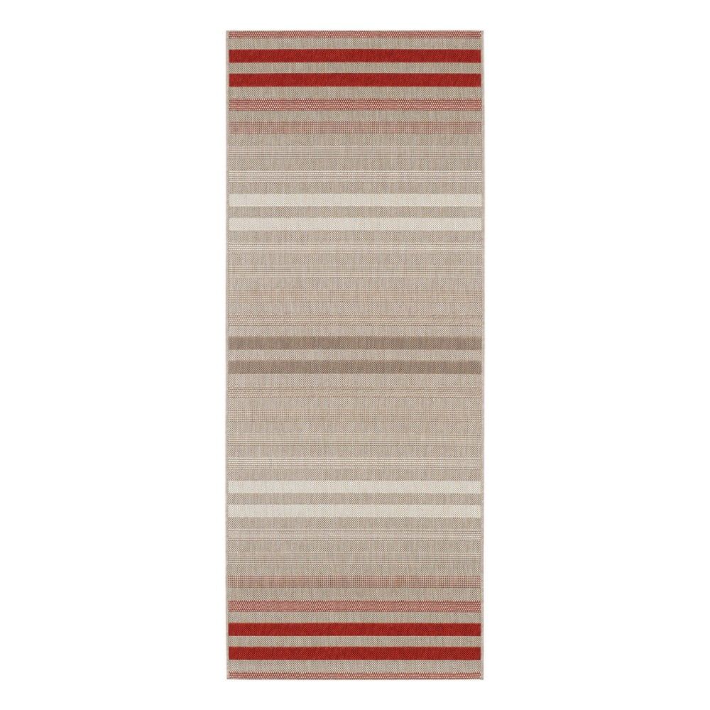 Červeno-krémový vonkajší koberec Bougari Paros, 80 x 200 cm - Bonami.sk