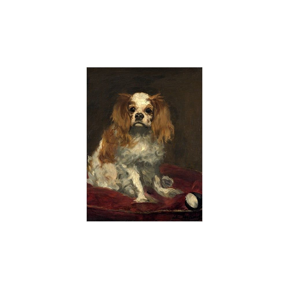 Reprodukcia obrazu Édouard Manet - A King Charles Spaniel, 40 x 30 cm - Bonami.sk