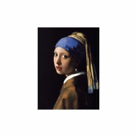 Reprodukcia obrazu Johannes Vermeer - Girl with a Pearl Earring, 40 x 30 cm