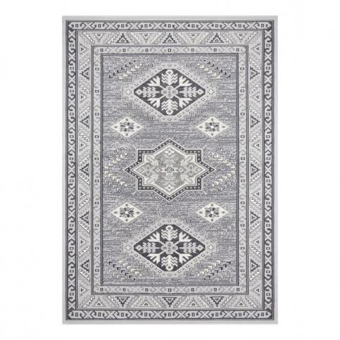 Svetlosivý koberec Nouristan Saricha Belutsch, 200 x 290 cm Bonami.sk