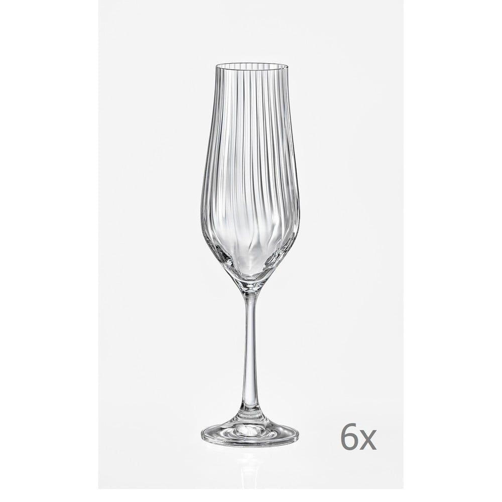 Súprava 6 pohárov na šampanské Crystalex Tulipa Optic, 170 ml - Bonami.sk