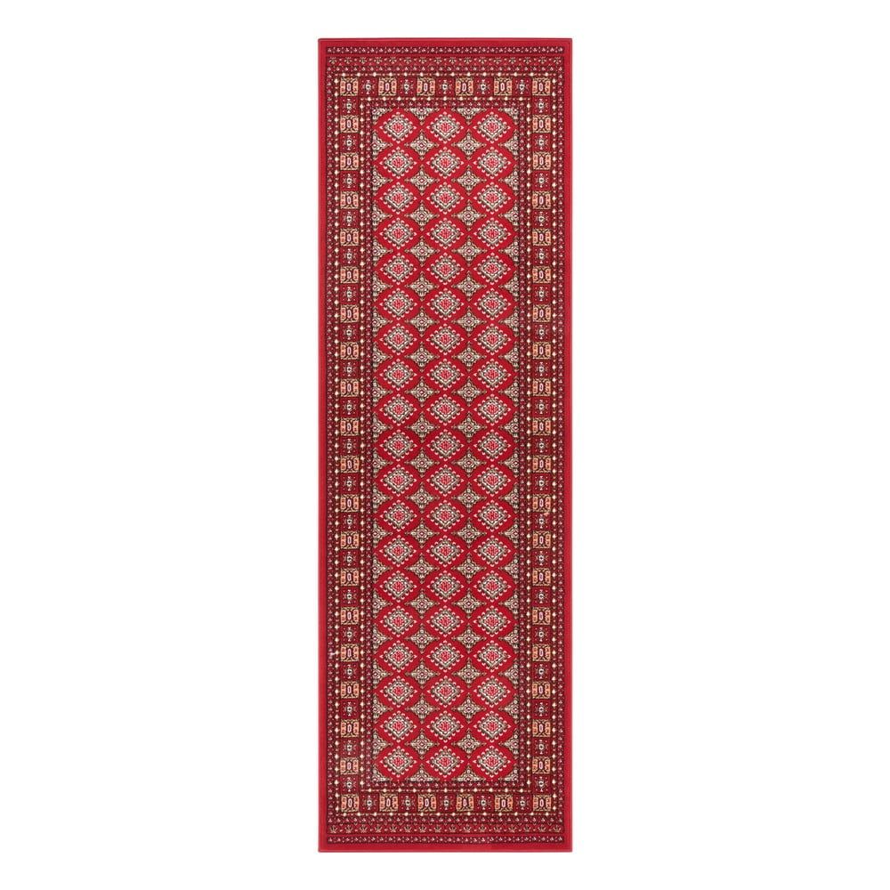 Červený koberec Nouristan Sao Buchara, 80 x 250 cm - Bonami.sk