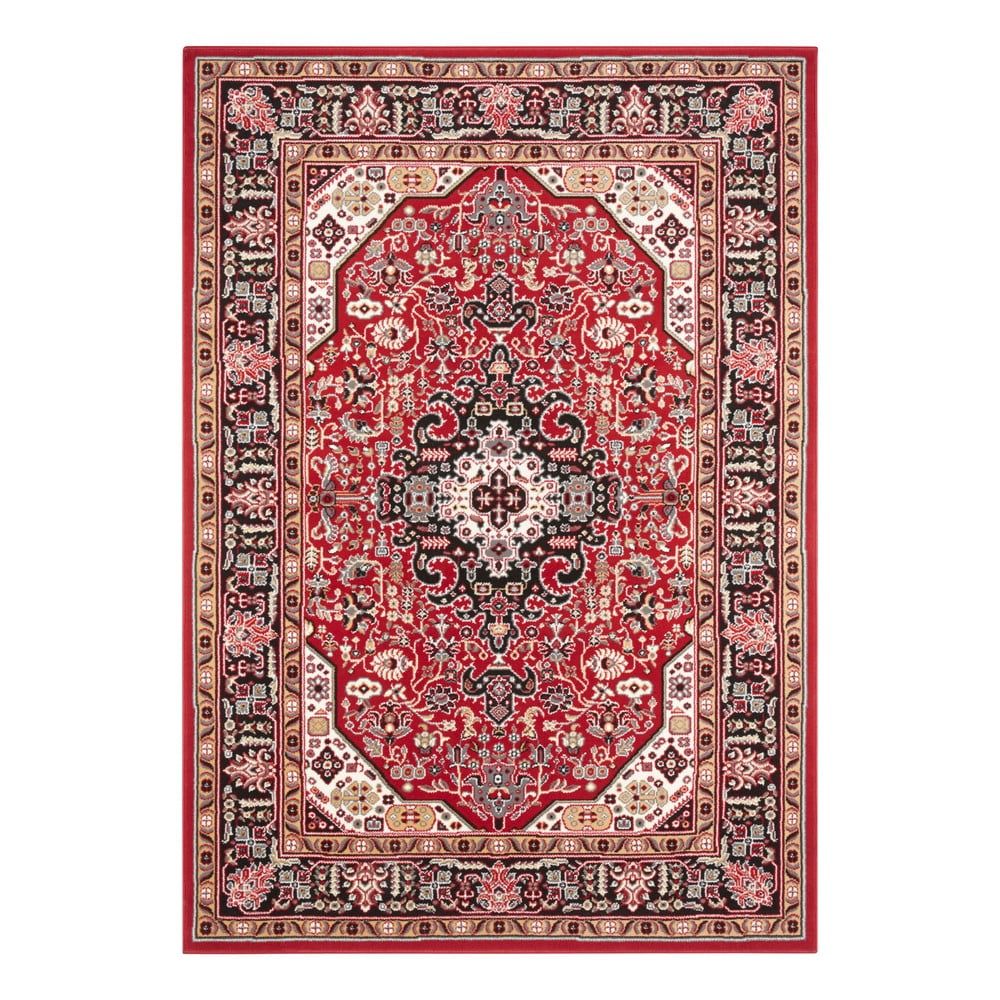 Červený koberec Nouristan Skazar Isfahan, 120 x 170 cm - Bonami.sk