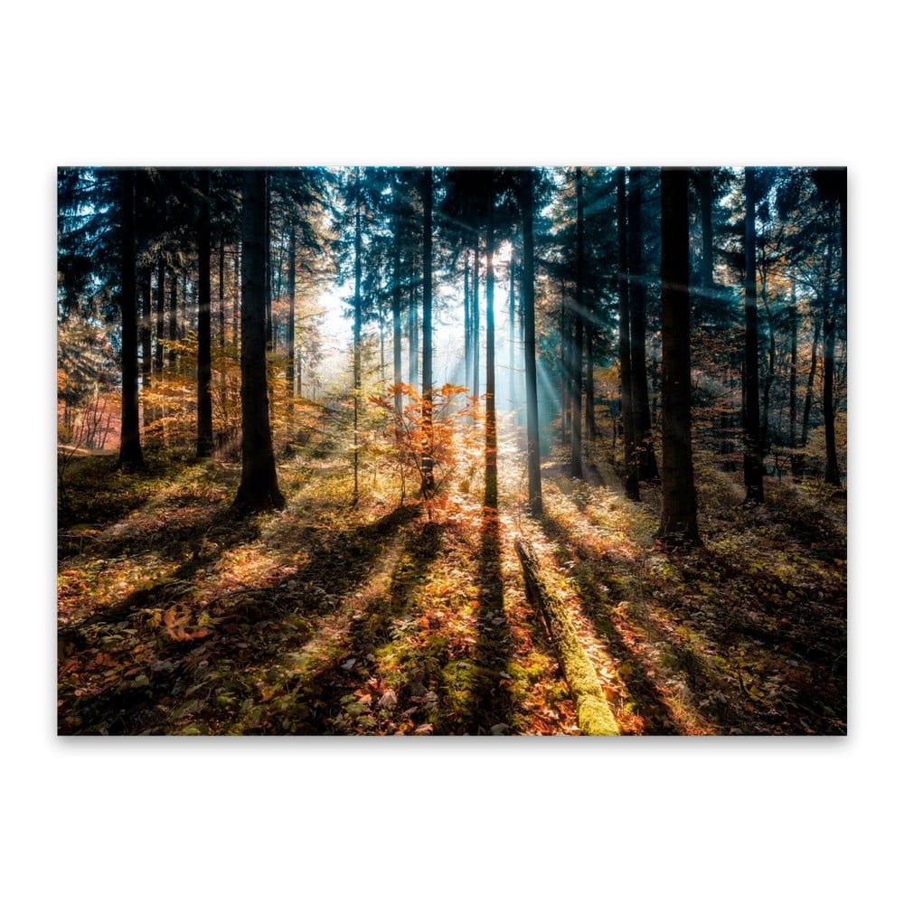 Obraz Styler Glasspik Autumn Sunset, 70 × 100 cm - Bonami.sk