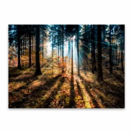 Obraz Styler Glasspik Autumn Sunset, 70 × 100 cm Bonami.sk