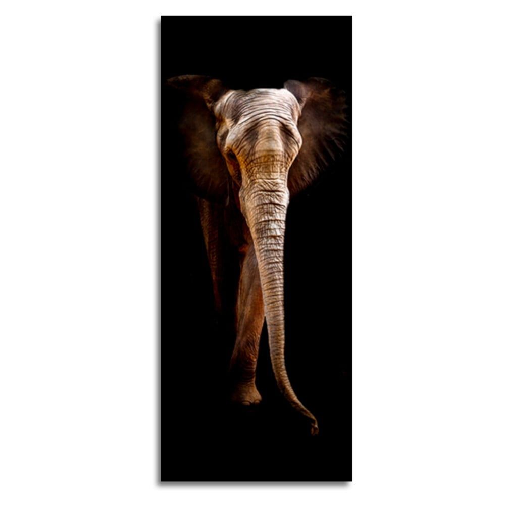 Obraz Styler Elephant, 125 x 50 cm - Bonami.sk