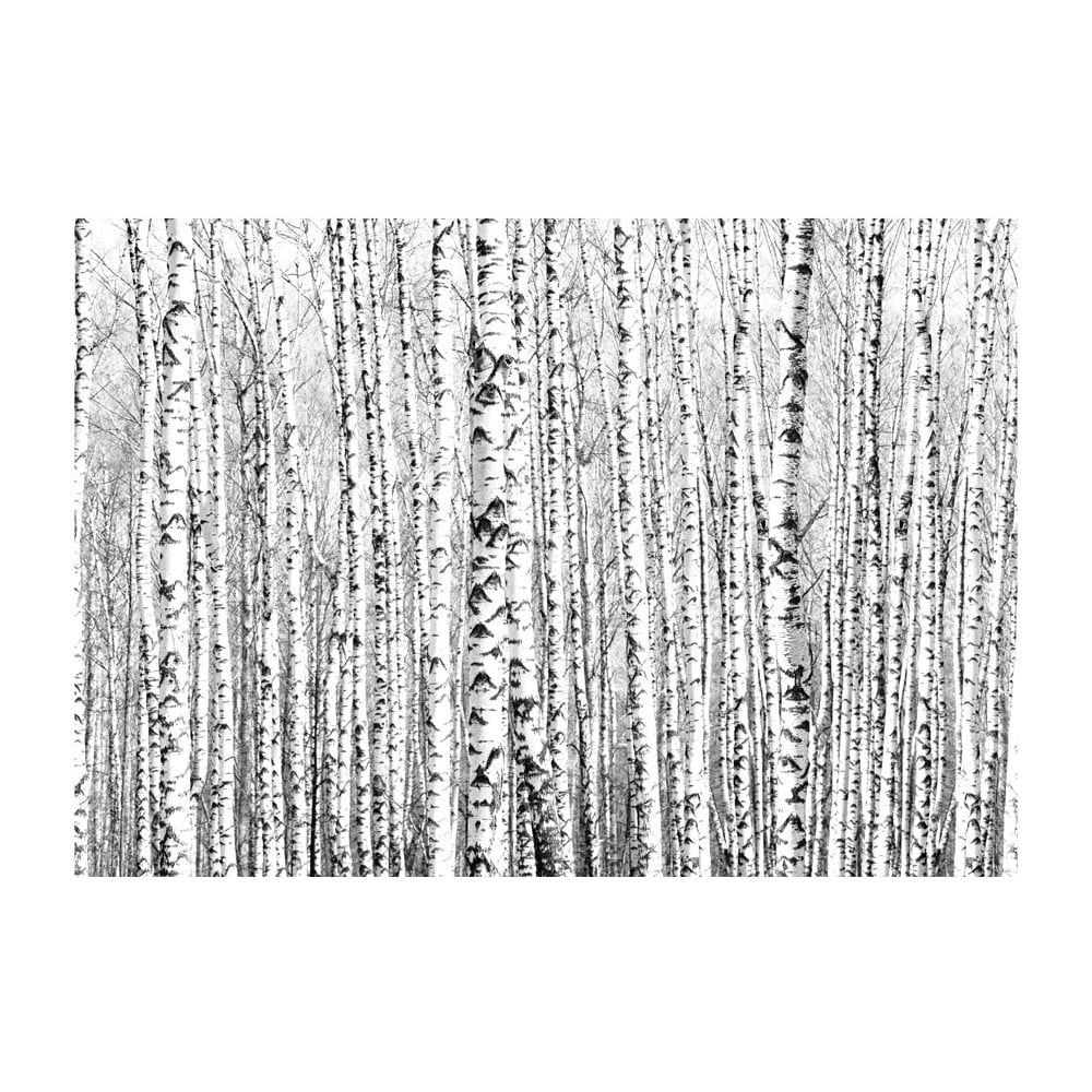 Veľkoformátová tapeta Artgeist Birch Forest, 400 x 280 cm - Bonami.sk