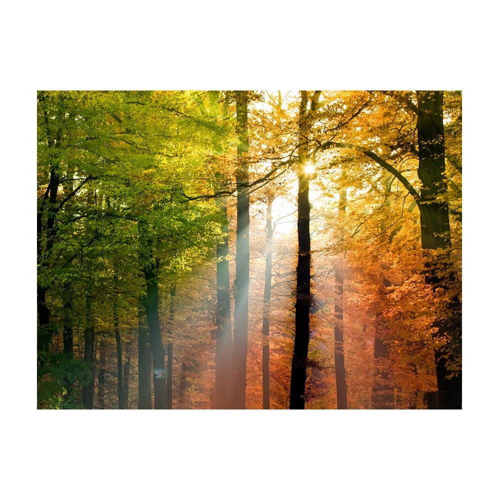 Veľkoformátová tapeta Artgeist Beautiful Autumn, 200 x 154 cm - Bonami.sk