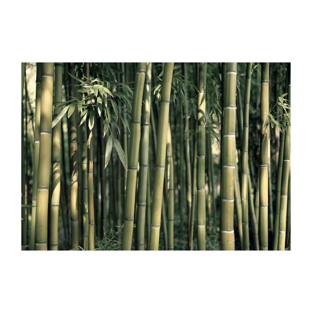 Veľkoformátová tapeta Artgeist Bamboo Exotic, 200 x 140 cm - Bonami.sk