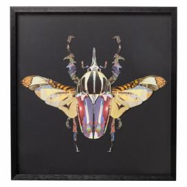 Zarámovaný obraz Kare Design Beetle, 60 x 60 cm