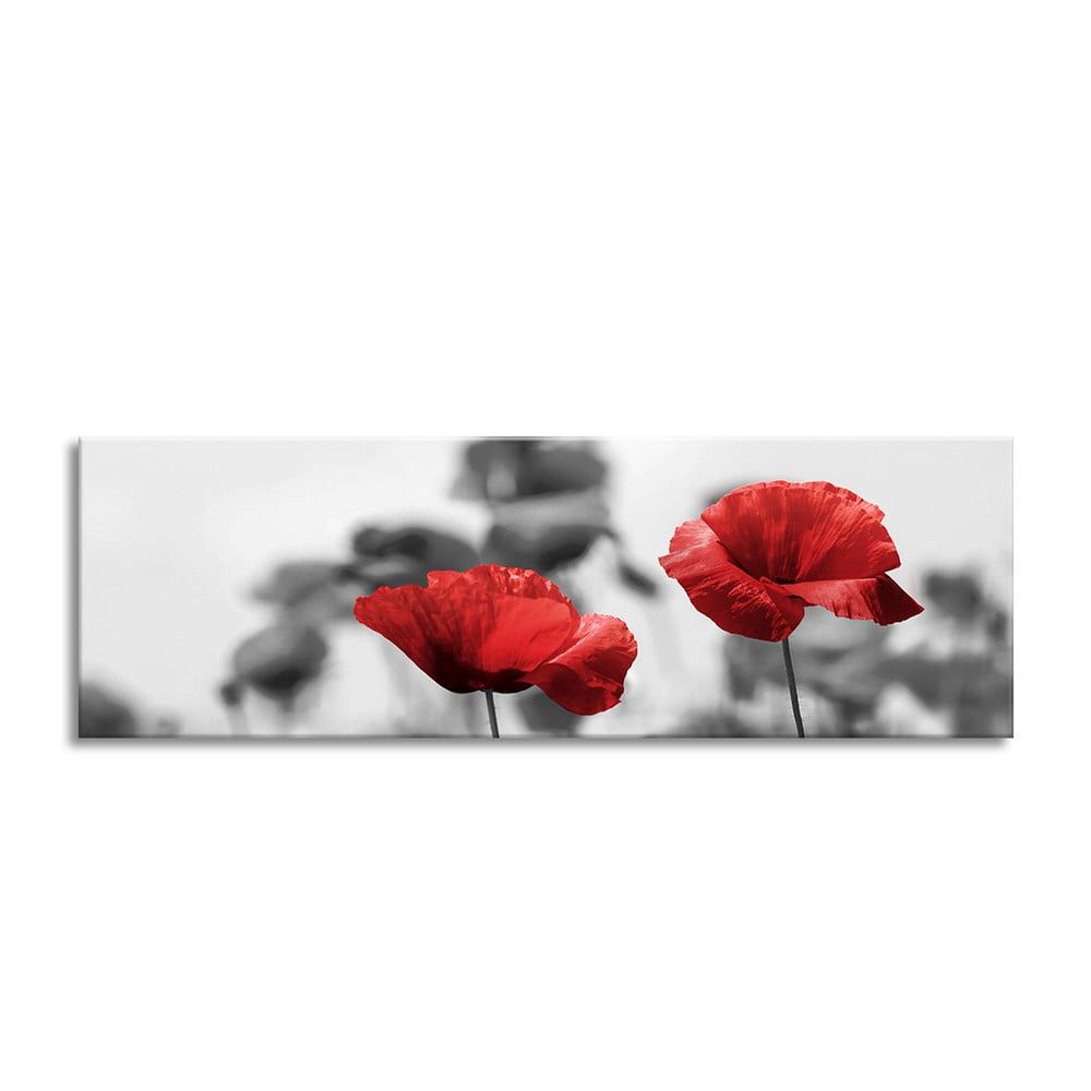 Obraz Styler Glas Red Poppy, 50 × 125 cm - Bonami.sk