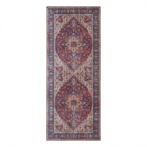 Červeno-fialový koberec Nouristan Anthea, 80 x 200 cm Bonami.sk