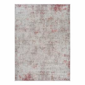 Sivo-ružový koberec Universal Babek, 120 x 170 cm Bonami.sk