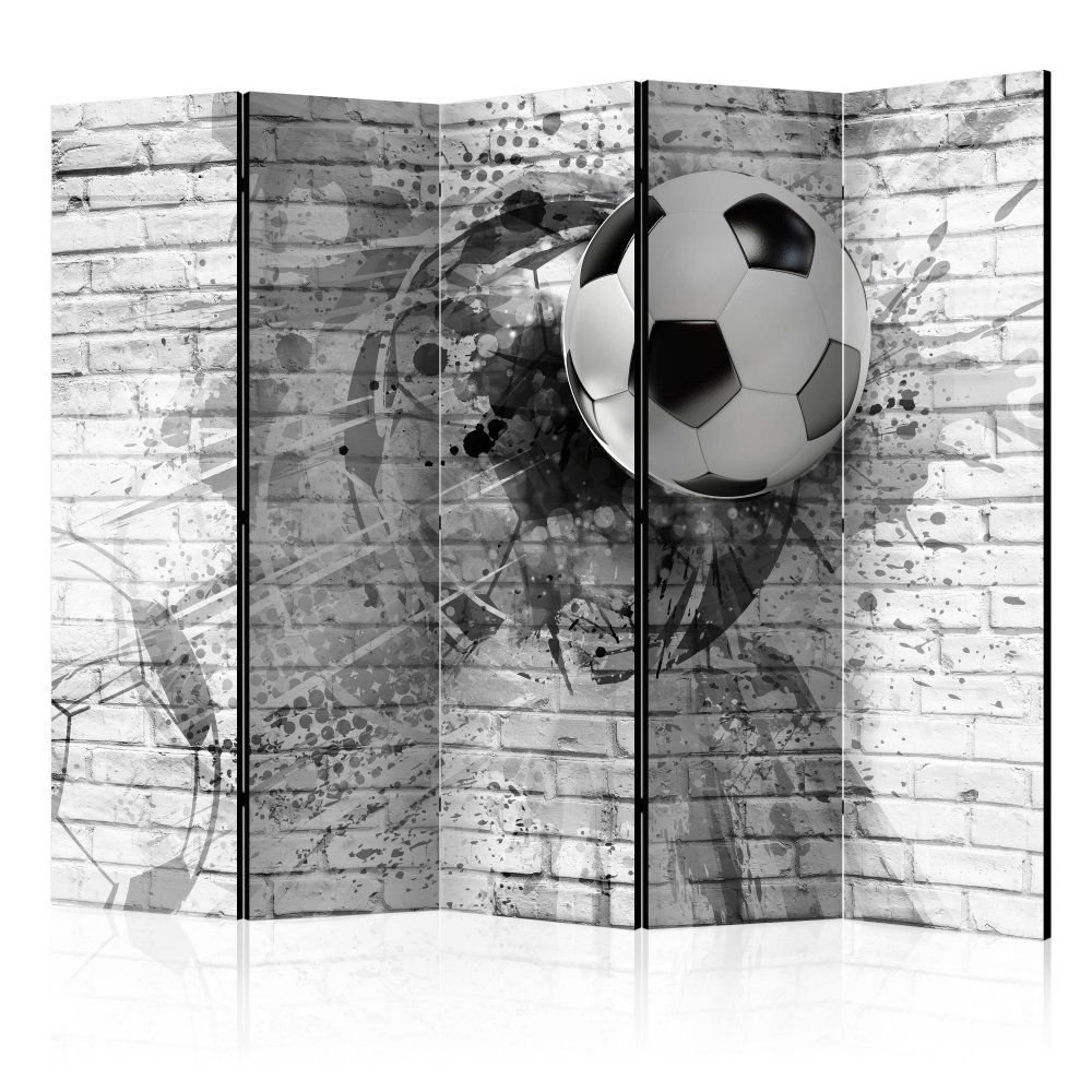 Paraván Dynamic Football Dekorhome 225x172 cm (5-dielny) - dekorhome.sk