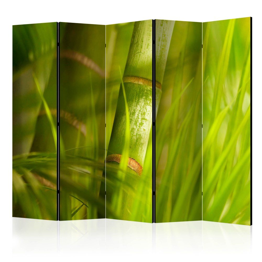 Paraván Bamboo - nature zen Dekorhome 225x172 cm (5-dielny) - dekorhome.sk