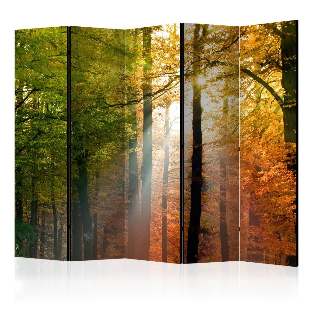 Paraván Forest Colours Dekorhome 225x172 cm (5-dielny) - dekorhome.sk