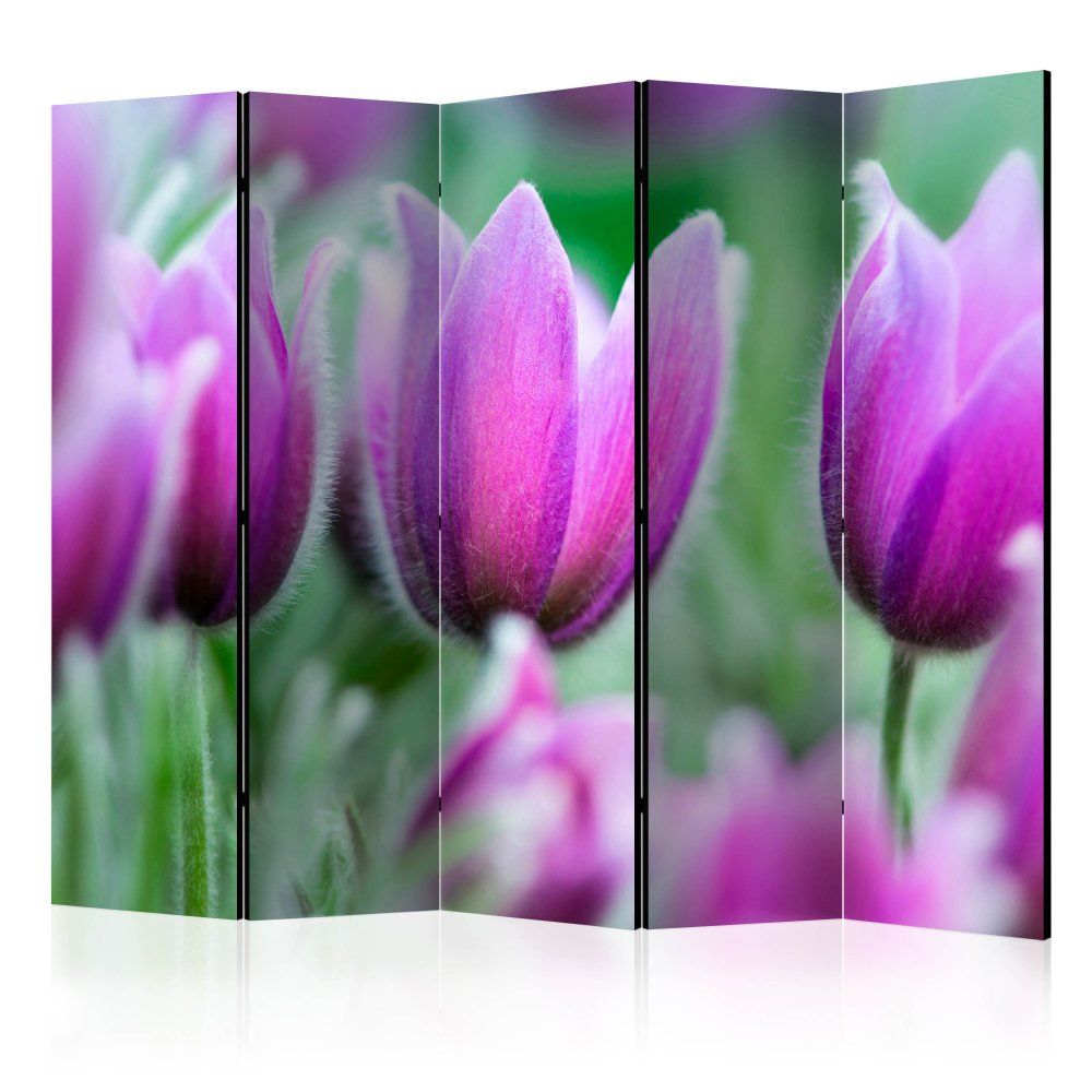 Paraván Purple spring tulips Dekorhome 225x172 cm (5-dielny) - dekorhome.sk