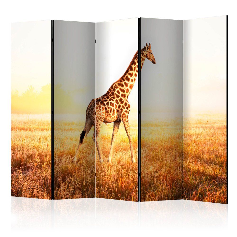 Paraván giraffe - walk Dekorhome 225x172 cm (5-dielny) - dekorhome.sk