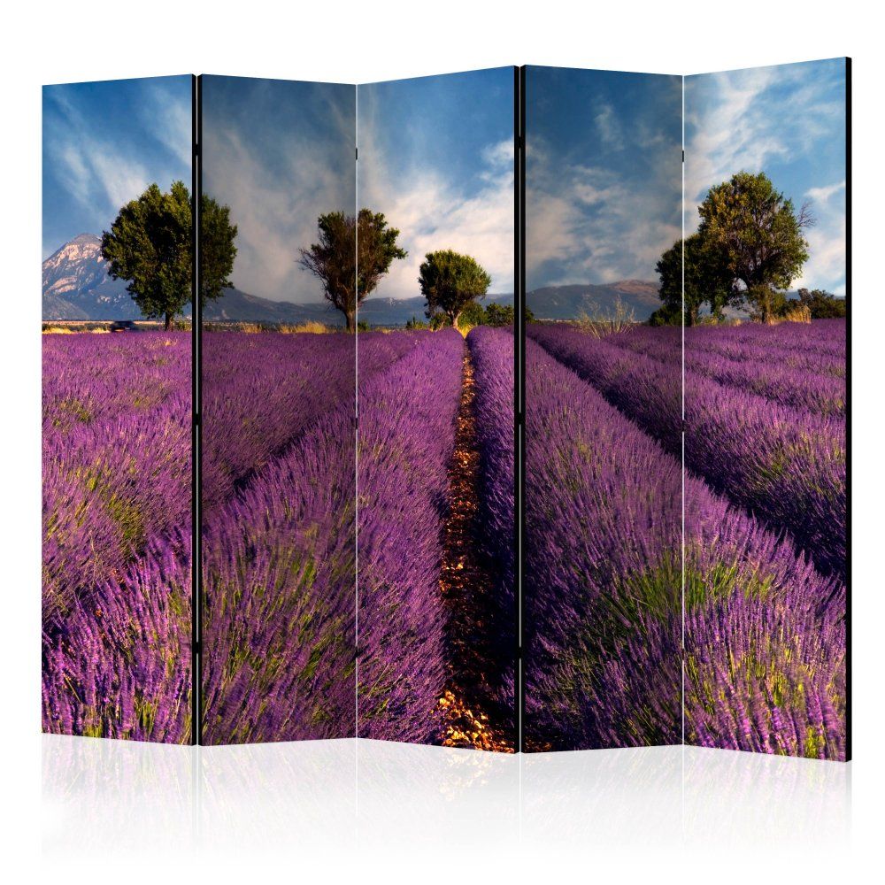 Paraván Lavender field in Provence, France Dekorhome 225x172 cm (5-dielny) - dekorhome.sk