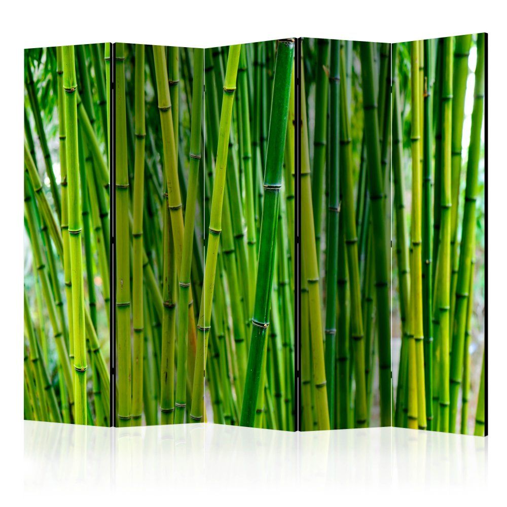 Paraván Bamboo Forest Dekorhome 225x172 cm (5-dielny) - dekorhome.sk
