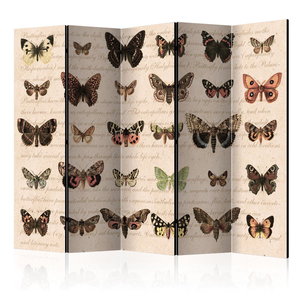 Paraván Retro Style: Butterflies Dekorhome 225x172 cm (5-dielny) - dekorhome.sk