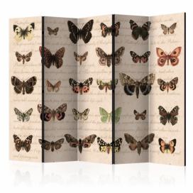Paraván Retro Style: Butterflies Dekorhome 225x172 cm (5-dielny)