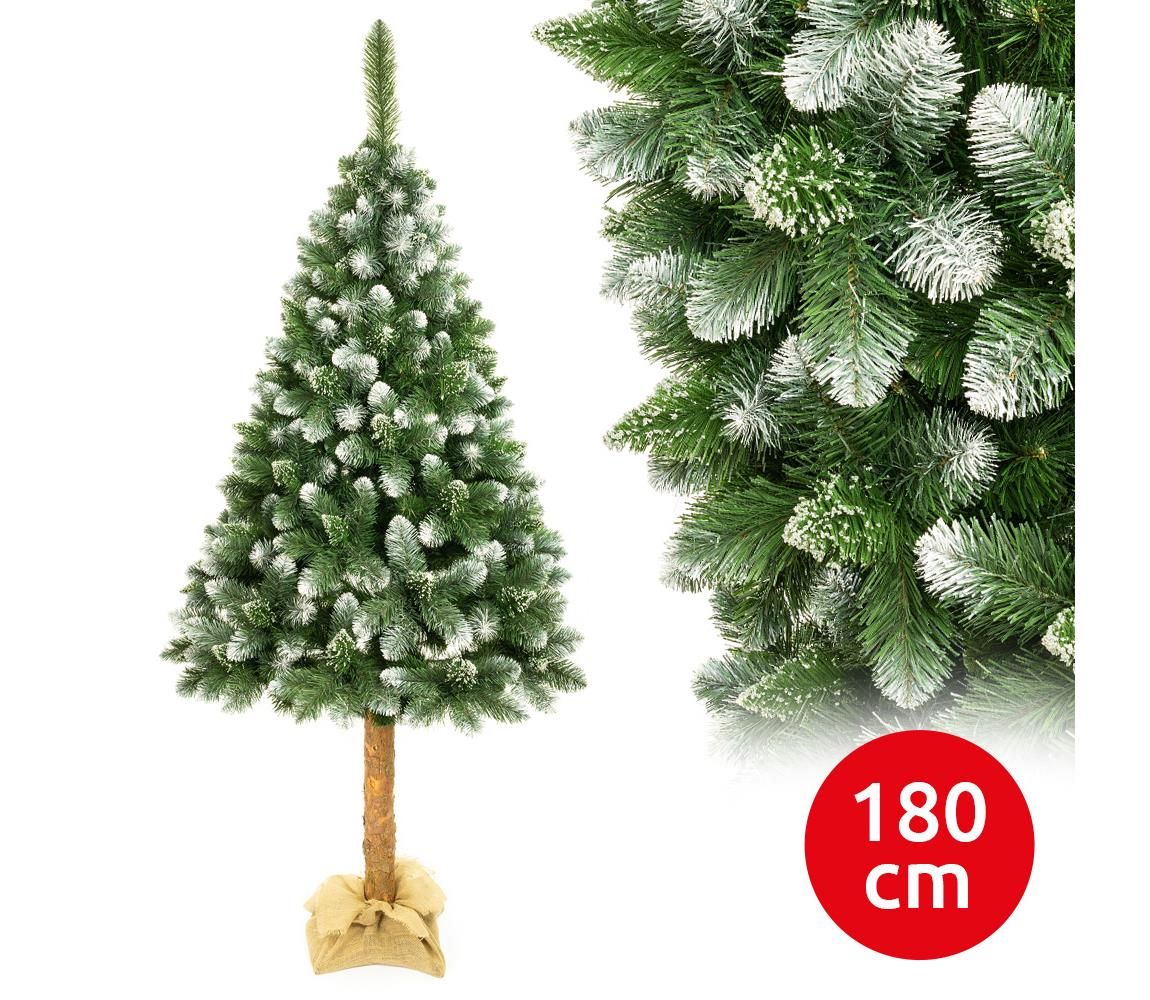  Vianočný stromček na kmeni 180 cm borovica  - Svet-svietidiel.sk