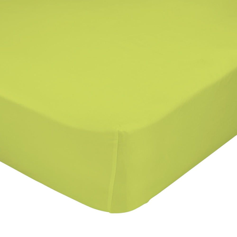 Zelená elastická plachta z čistej bavlny Happy Friday Basic, 90 x 200 cm - Bonami.sk