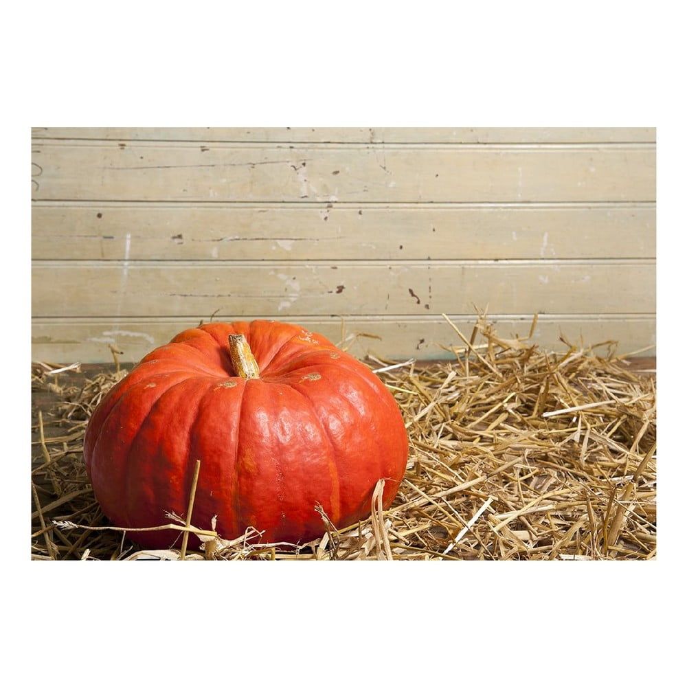 Vinylová predložka Pumpkin, 52 × 75 cm - Bonami.sk